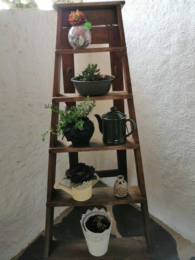 Casa Do Alto - Benfeita住宿加早餐旅馆 外观 照片